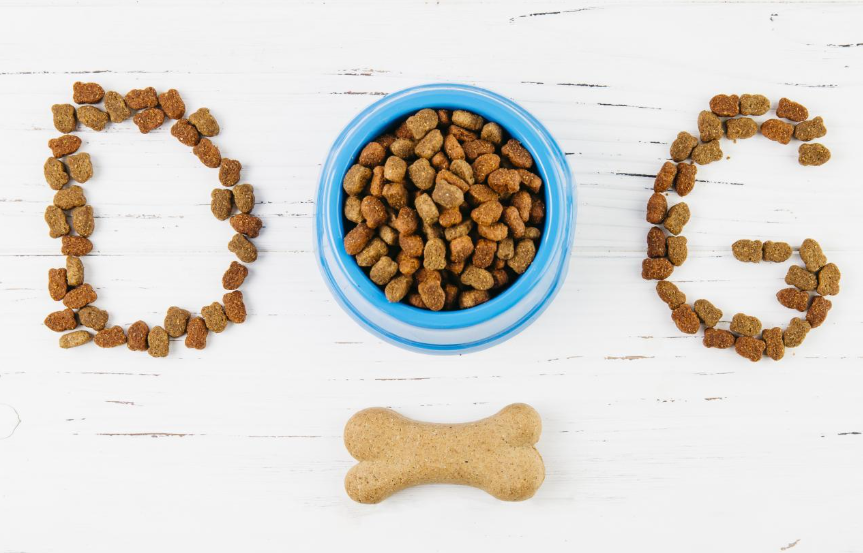 Dry, Wet, Raw? Breakdown of Different Types of Dog Food