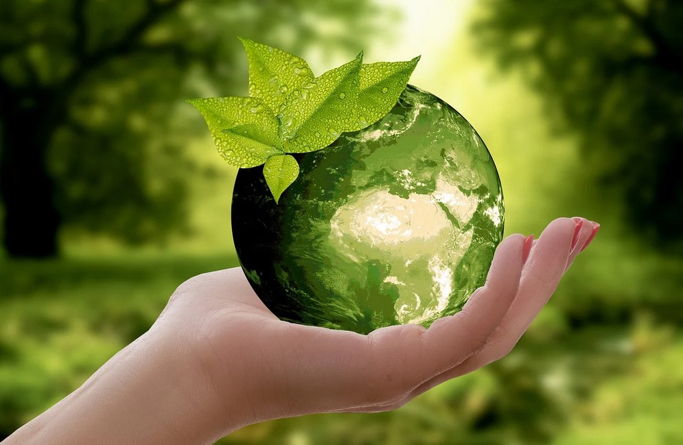 Practical Steps for a Greener Future – Little Green Blog