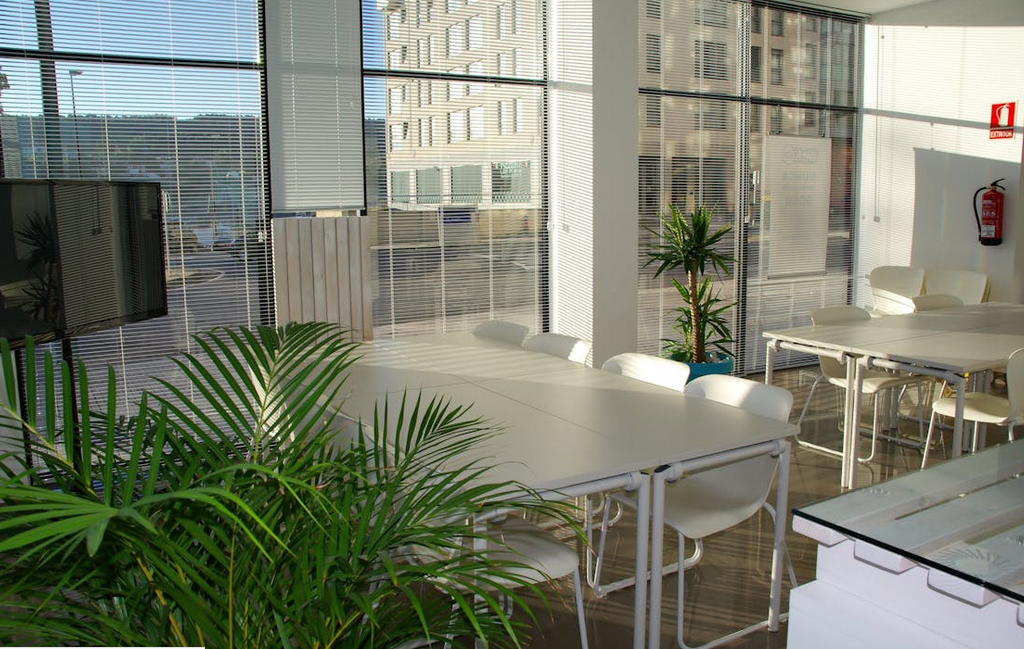 Why Every Business Should Care About Indoor Air Quality – Little Green Blog